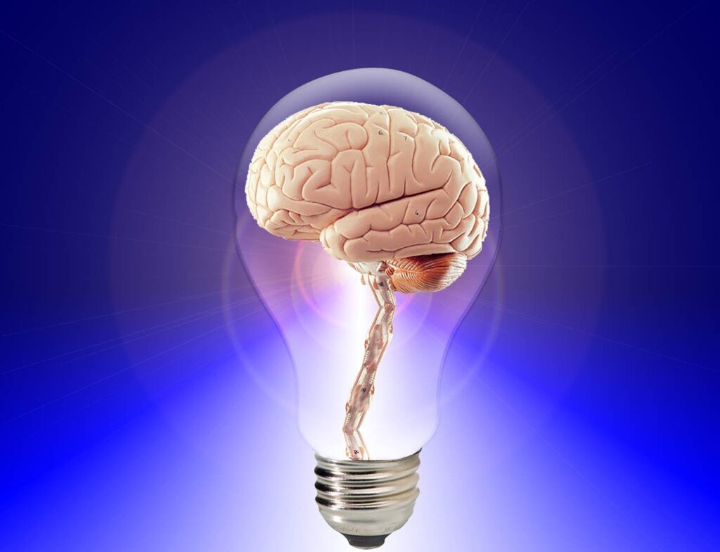 brain, think, human-20424.jpg